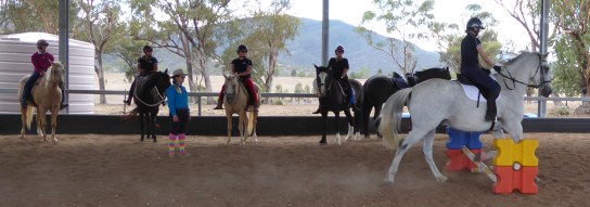 UHWEC training day - Marcia Williamson